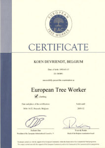 Erkende boomverzorger Koen Devriendt European treeworker ( ETW )