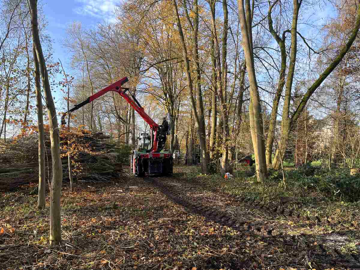 Bomenkraan ontbossen 