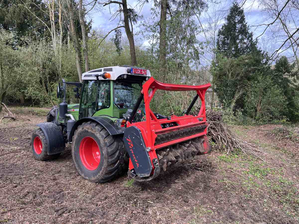 Opkuisen en onderhoud bos 