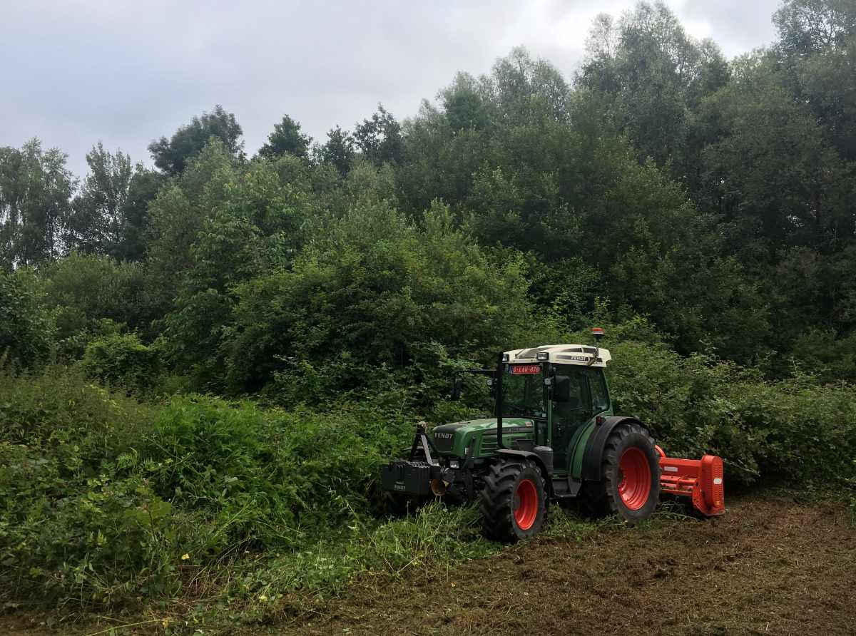 opkuisen verwilderde terrein 