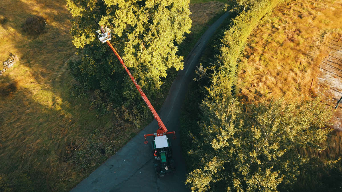 Verzorgen bomen Lennik 