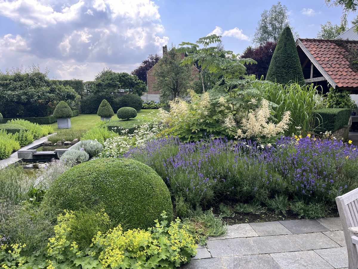 tuinonderhoud, snoeien tuin 