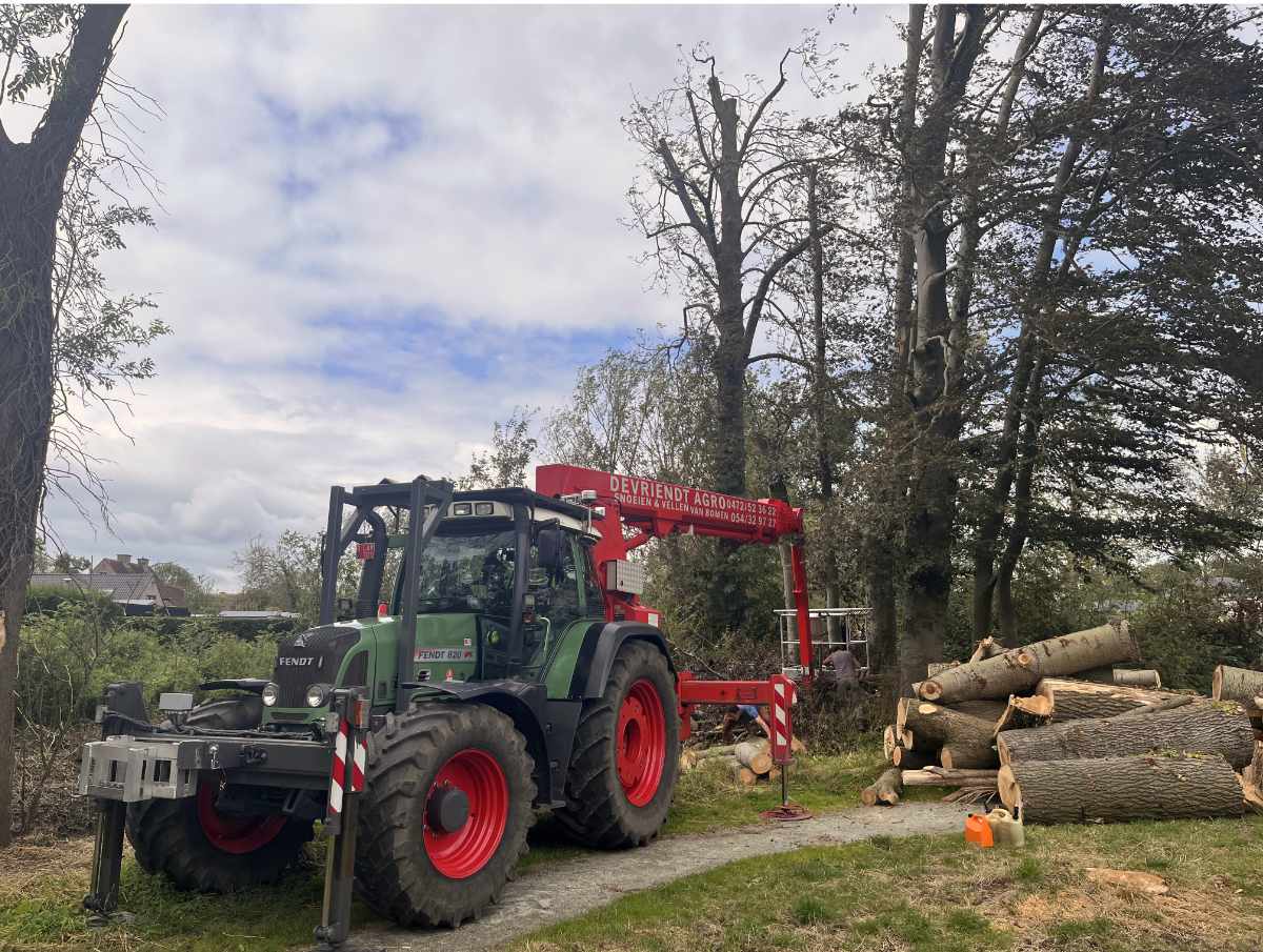 bomen ontmantelen Grimbergen 